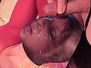 cumshot mature pantyhose 
